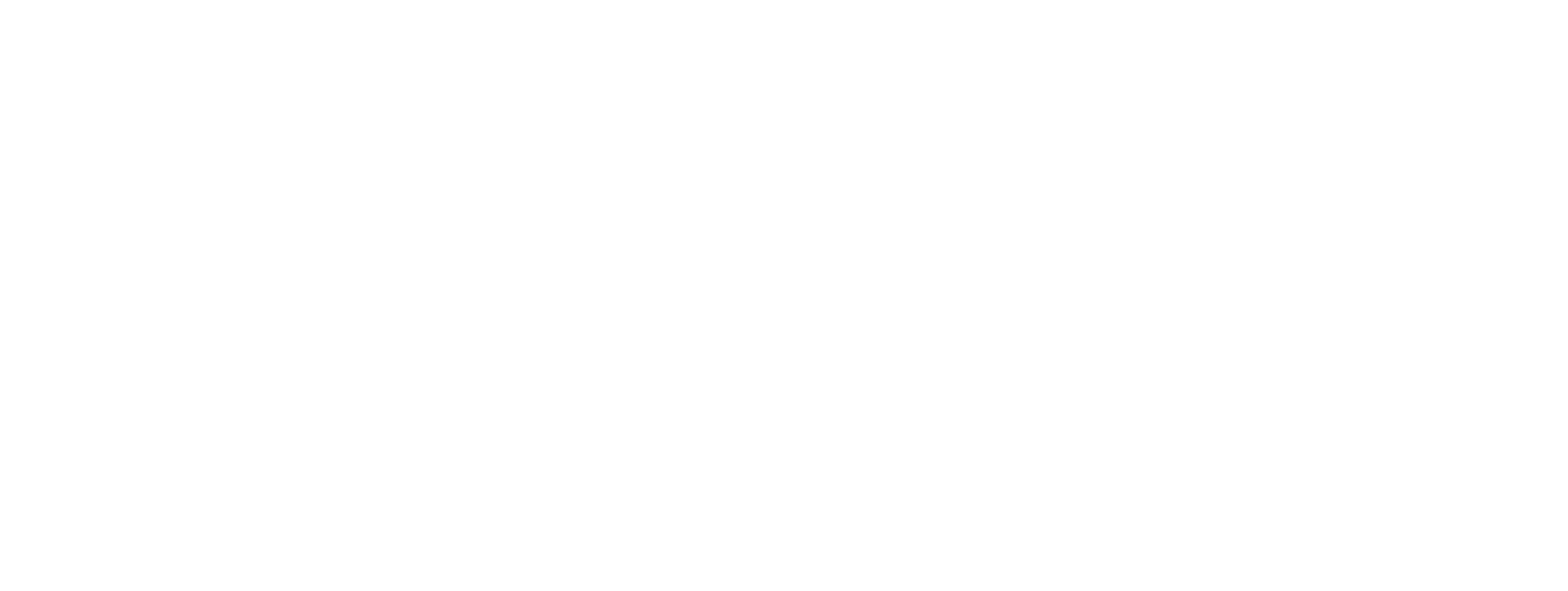 workanies Logo